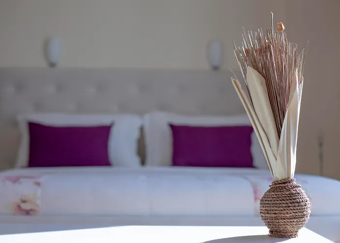 Hotel Oasis